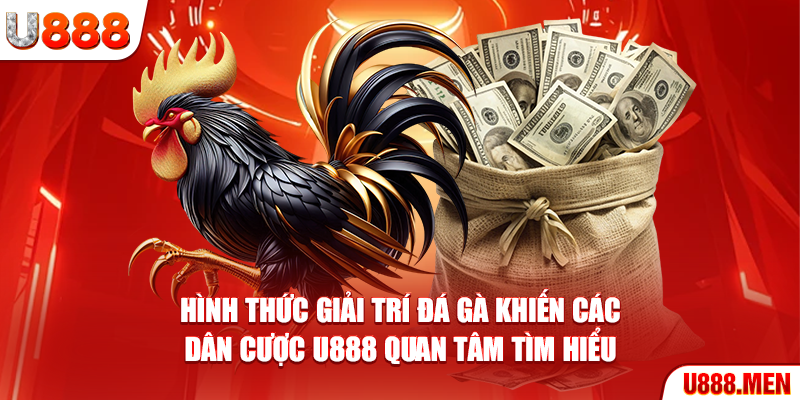 Đá Gà Trực Tiếp Thomo Siêu Đỉnh Cao Từ Nhà Cái U888 Hình thức giải trí đá gà khiến các dân cược U888 quan tâm tìm hiểu